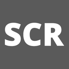 Scr Promo Code Adblue (SCR) Emulatori